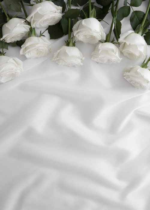 magie_animation_mariage magie_animation_mariage